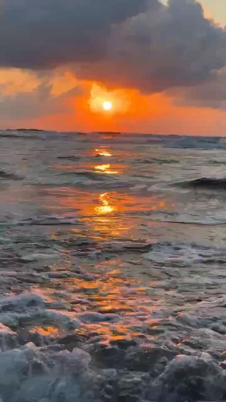 Texas Coast Pros in Freeport, TX