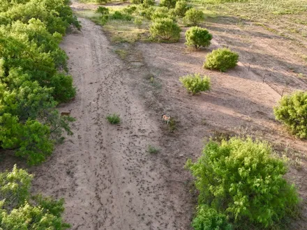 TX Real Estate Group in Lubbock, TX (2)