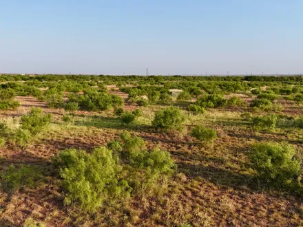 TX Real Estate Group in Lubbock, TX (4)