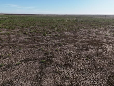 TX Real Estate Group in Lubbock, TX (5)