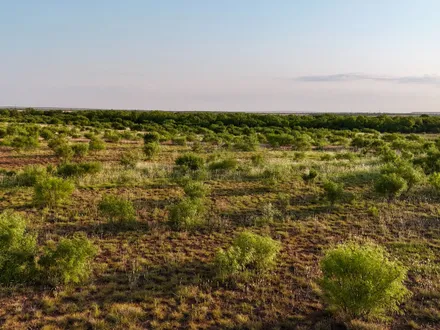 TX Real Estate Group in Lubbock, TX (6)
