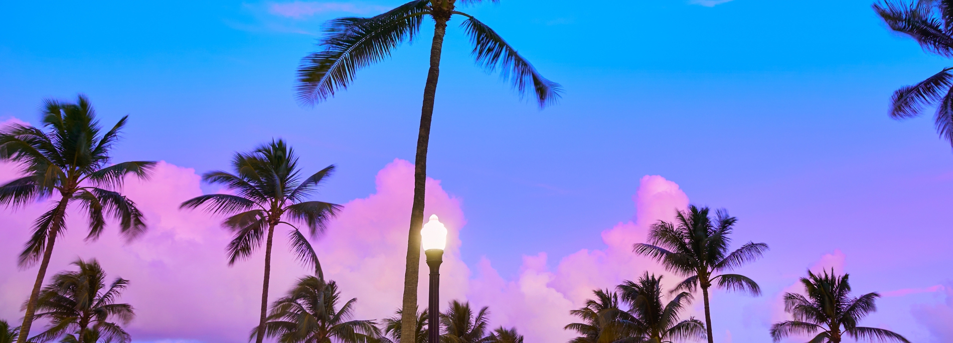Palm Beach Coastal Realty in Palm Beach Gardens, FL (2)