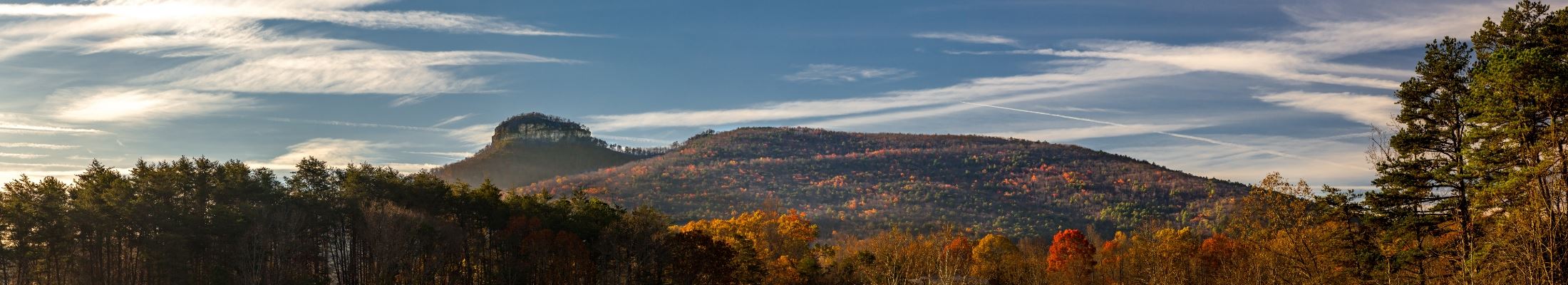 Head Shoppe Plus in Pilot Mountain, NC