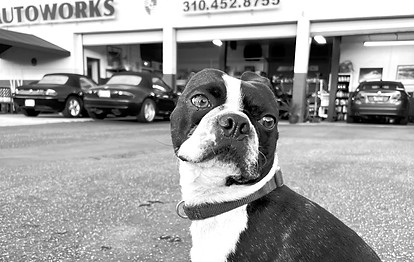 Santa Monica Autoworks in Santa Monica, CA