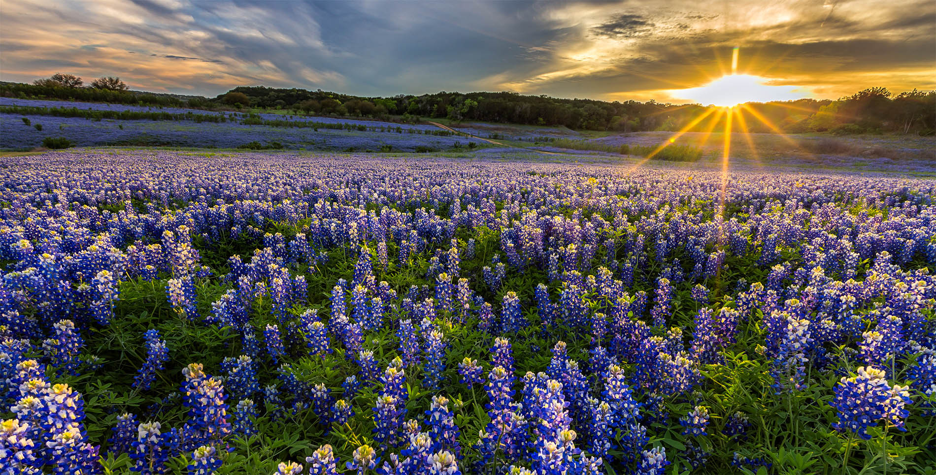 Mark T. Bessent, Attorney at Law in Brownwood, TX