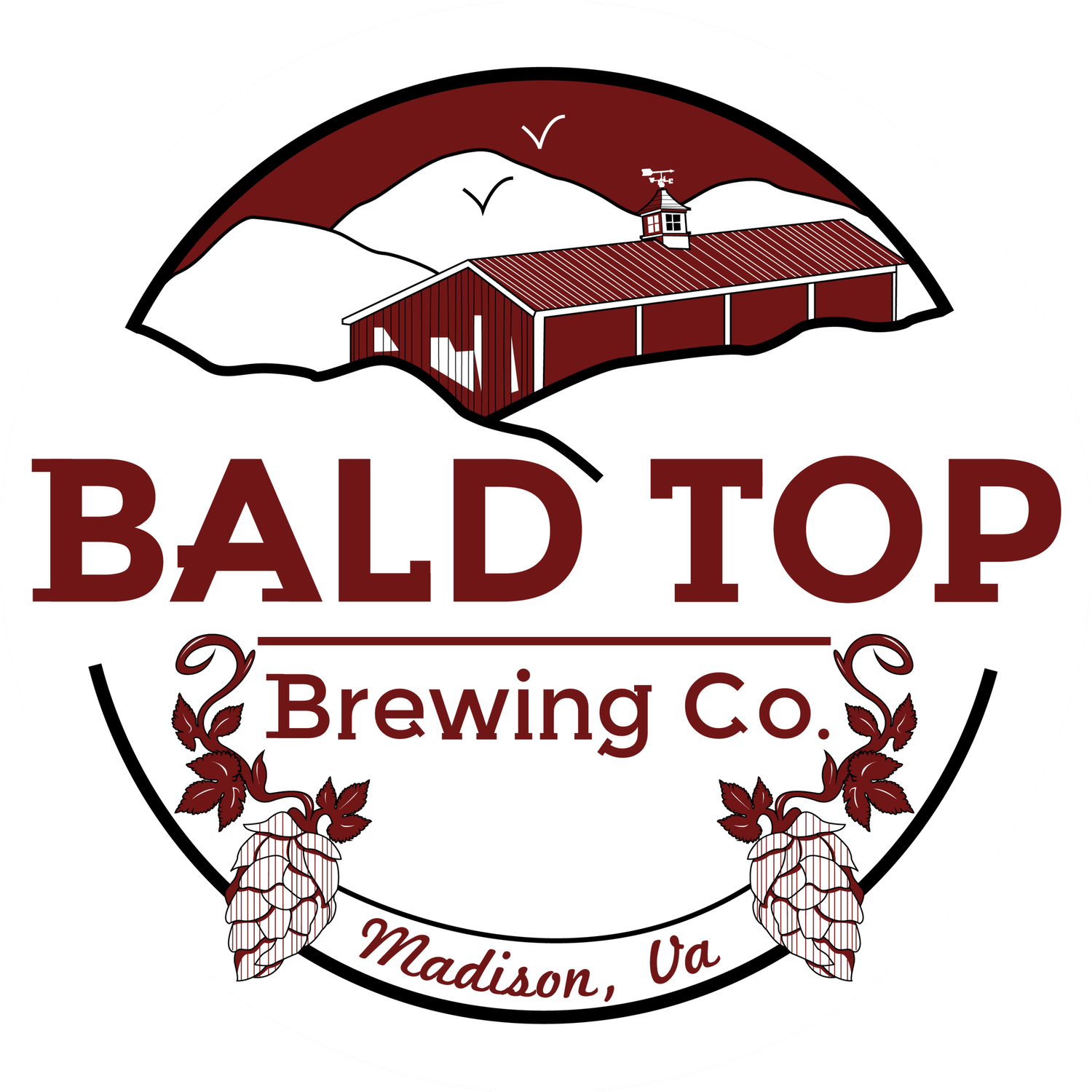 Bald Top Brewing Co. in Madison, VA (2)