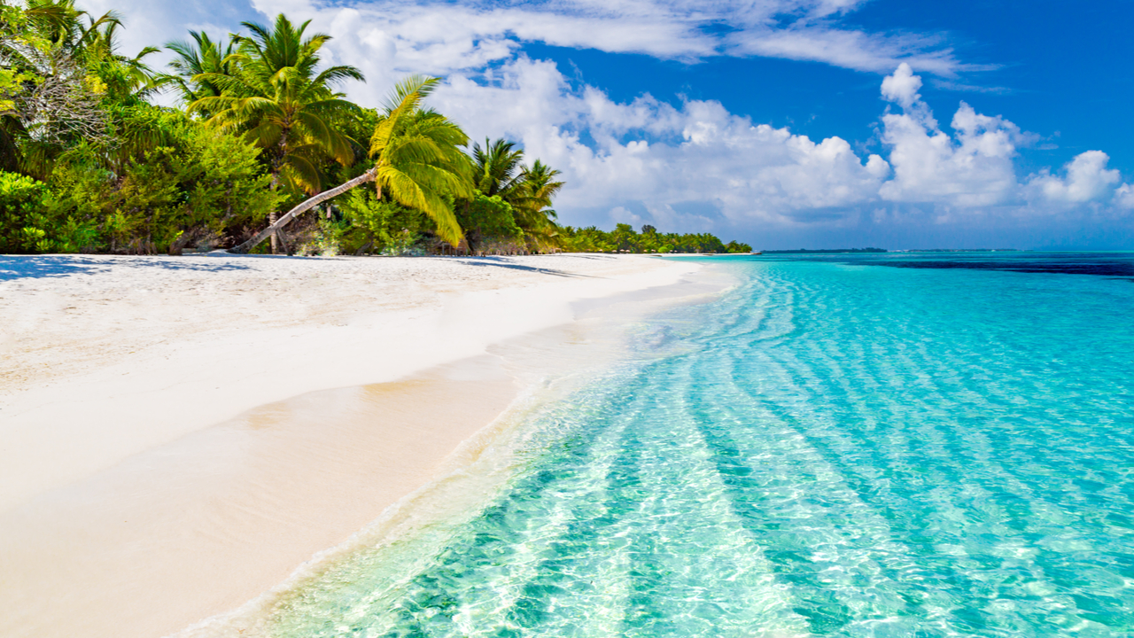 Cruise Planners - Global Travel Pros in McDonough, GA (2)