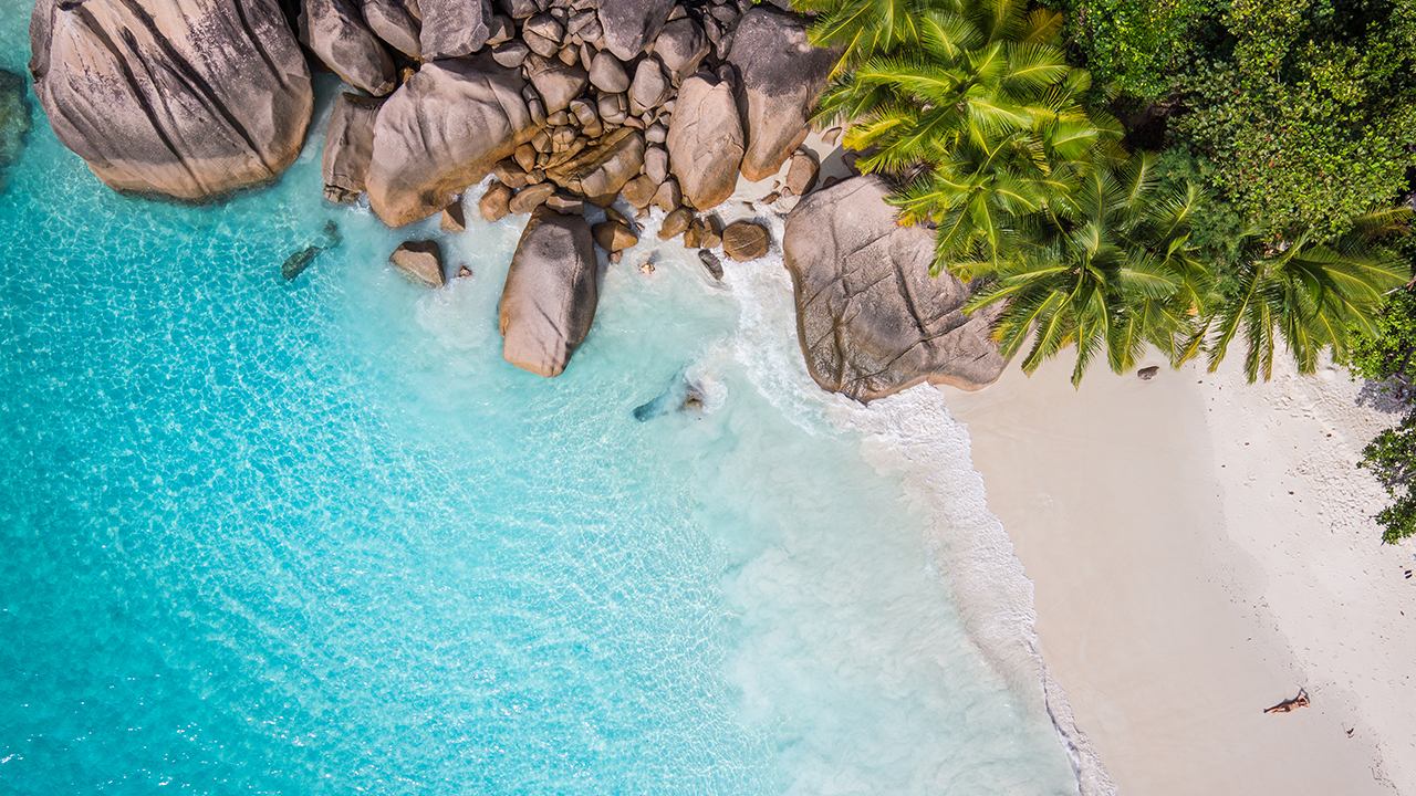 Cruise Planners - Global Travel Pros in McDonough, GA (3)