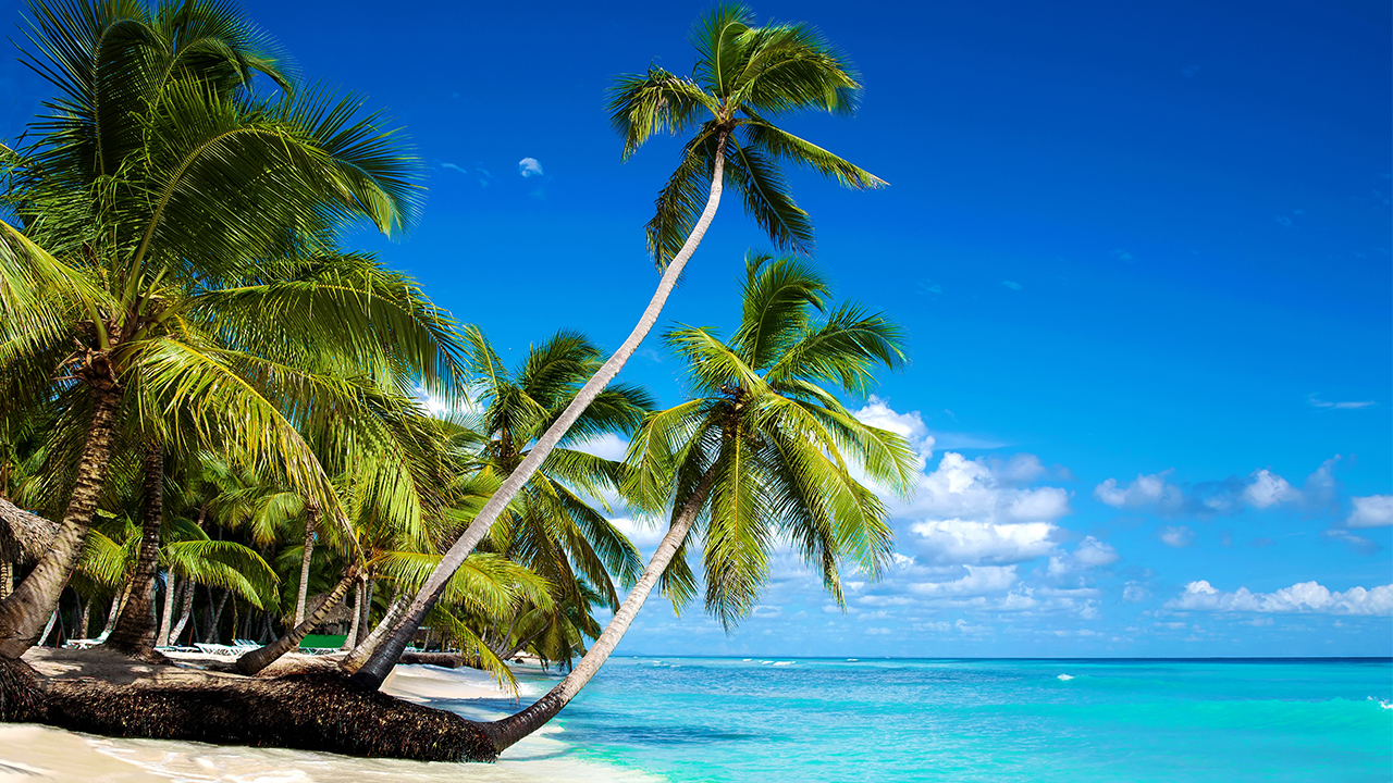 Cruise Planners - Global Travel Pros in McDonough, GA (5)