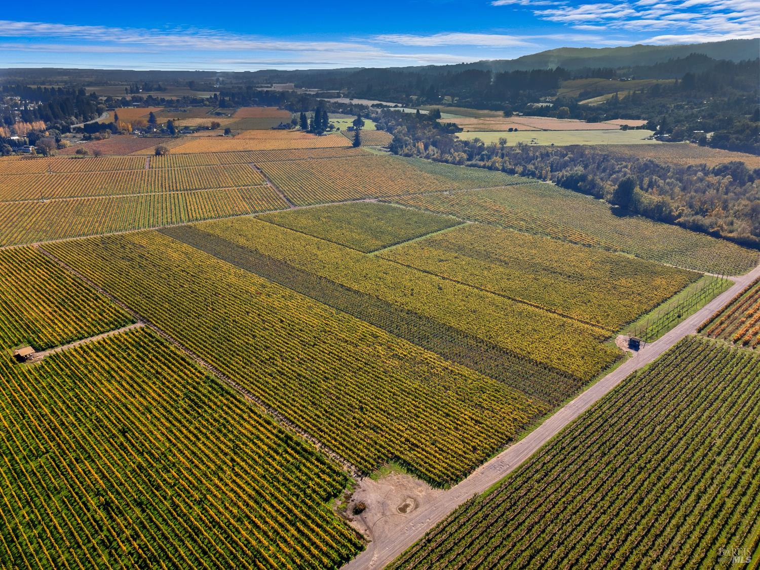The Lucero Group - Vanguard Properties in Healdsburg, CA