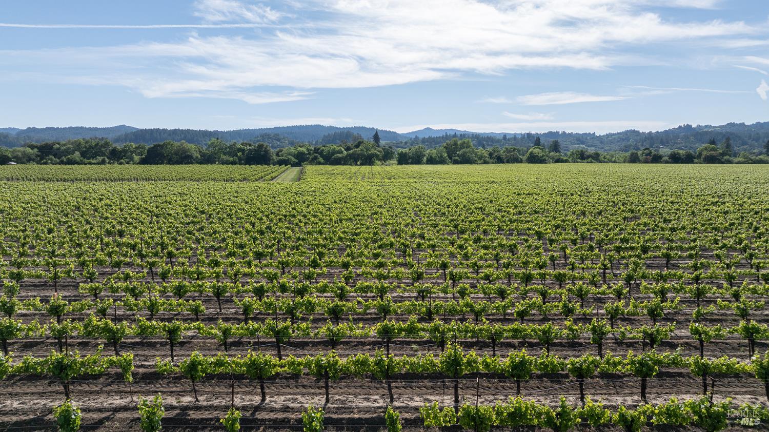 The Lucero Group - Vanguard Properties in Healdsburg, CA (6)