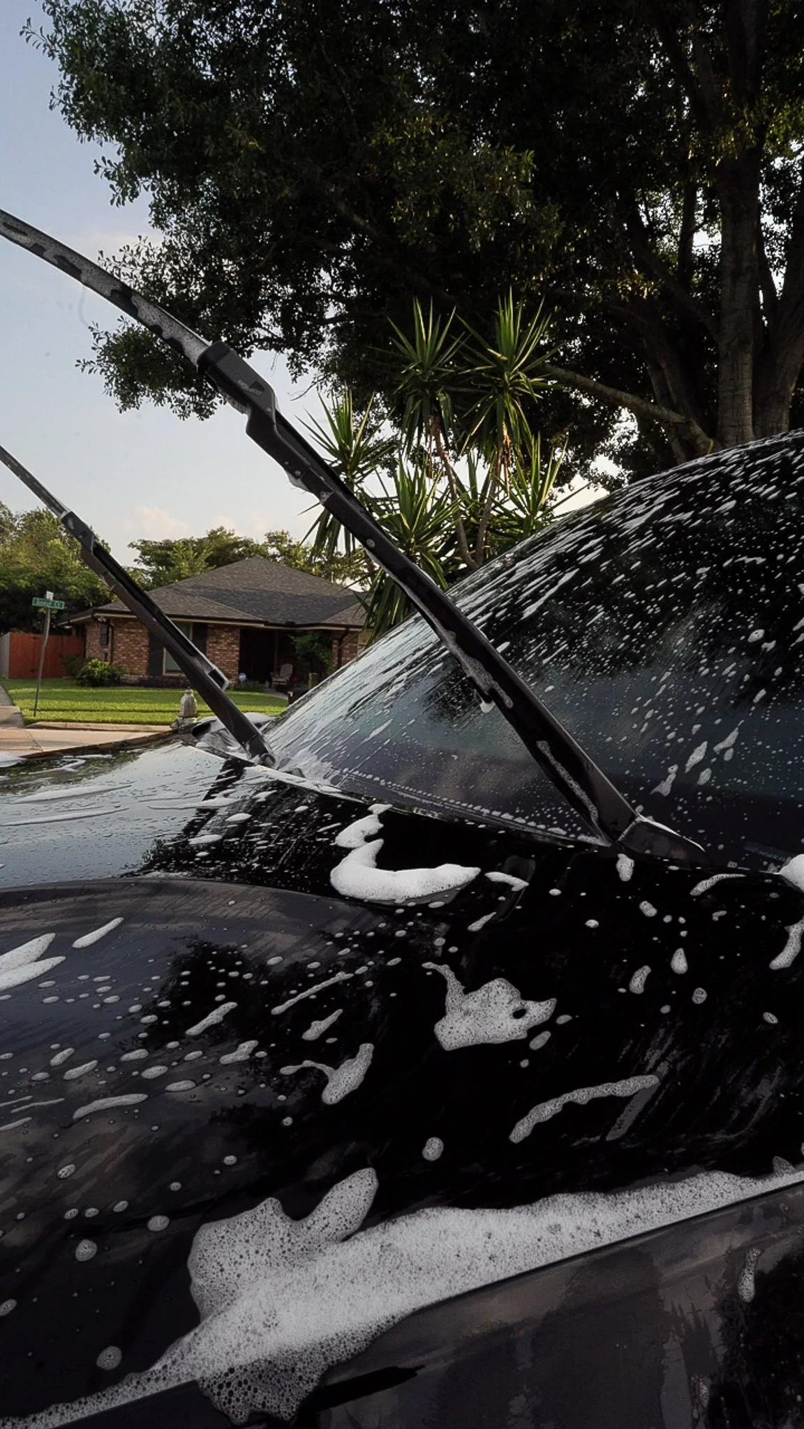 Beezy Luxury Detailing in Norco, LA (3)