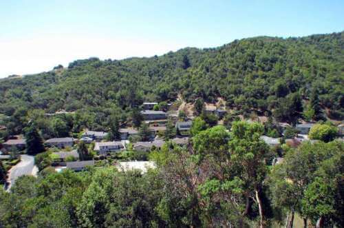 Madeline Schaider Real Estate in Corte Madera, CA (2)