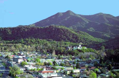Madeline Schaider Real Estate in Corte Madera, CA (3)
