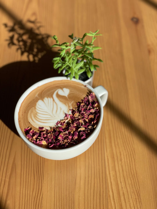 Alice Good Specialty Coffee in Verona, WI