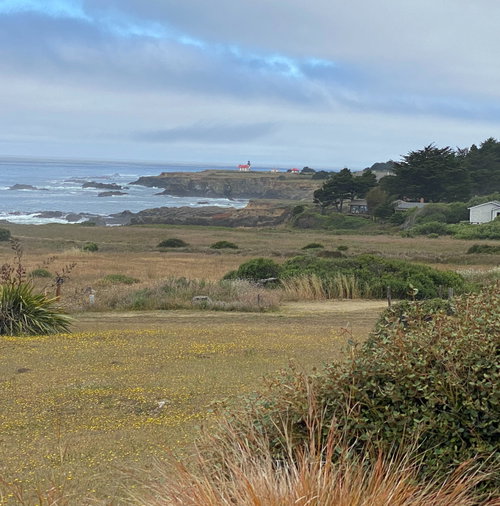 Sarah Rossetto Realtor in Fort Bragg, CA (5)