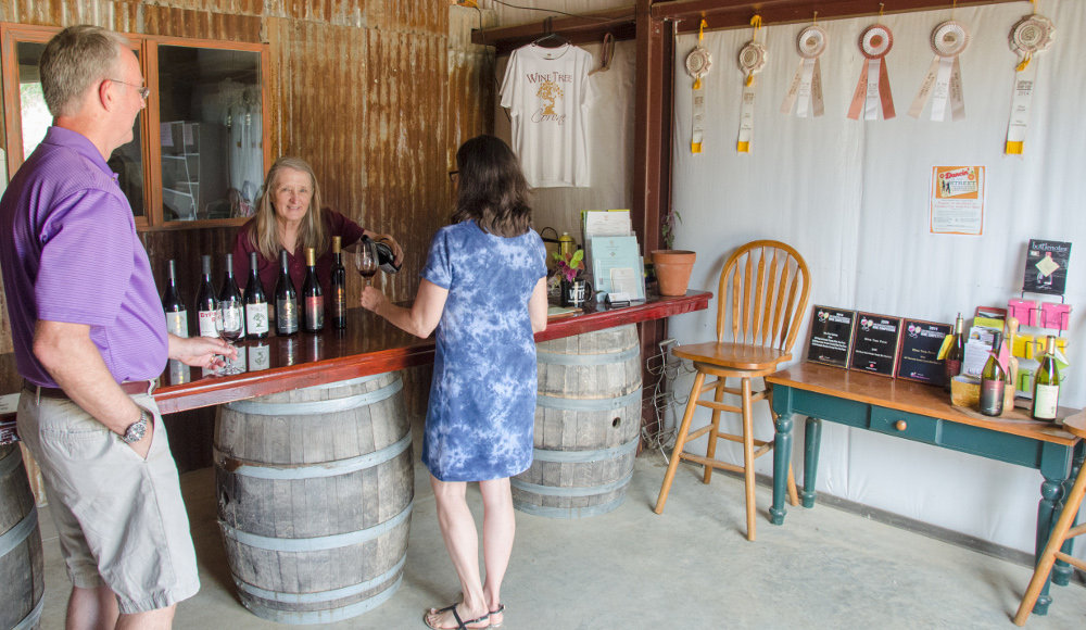 Wine Tree Farm & Corinne Wines in Amador City, CA