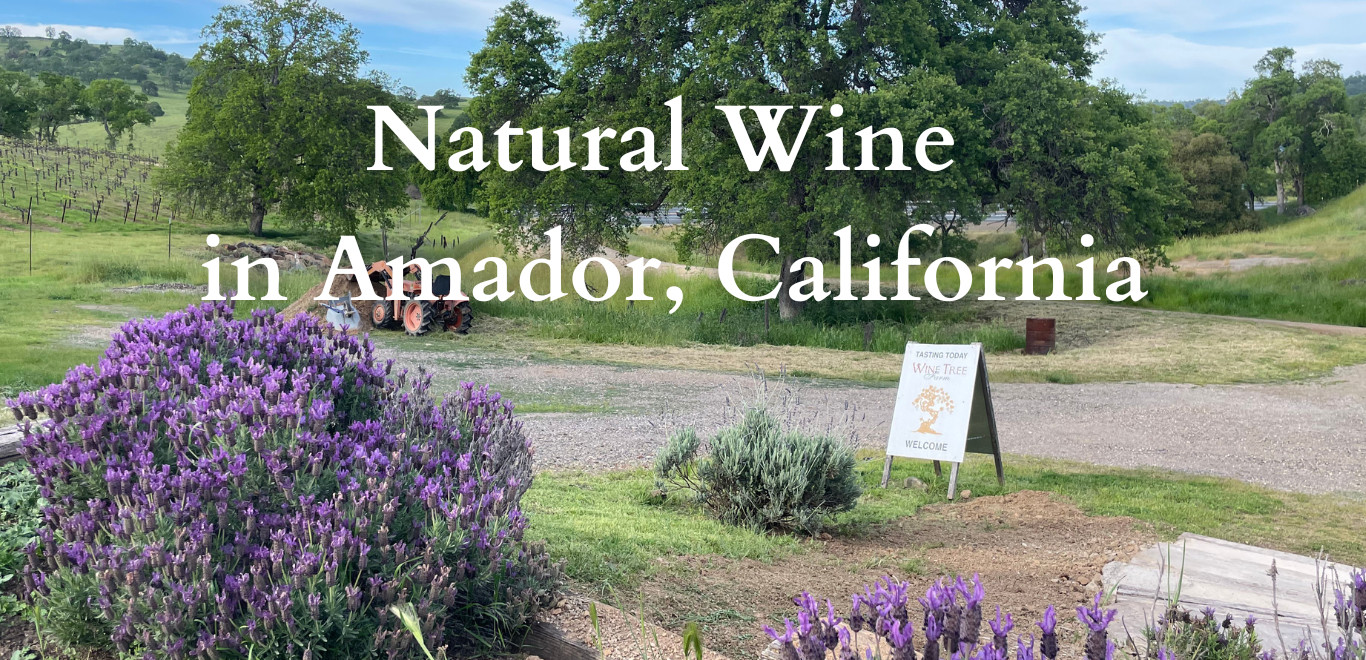 Wine Tree Farm & Corinne Wines in Amador City, CA (3)
