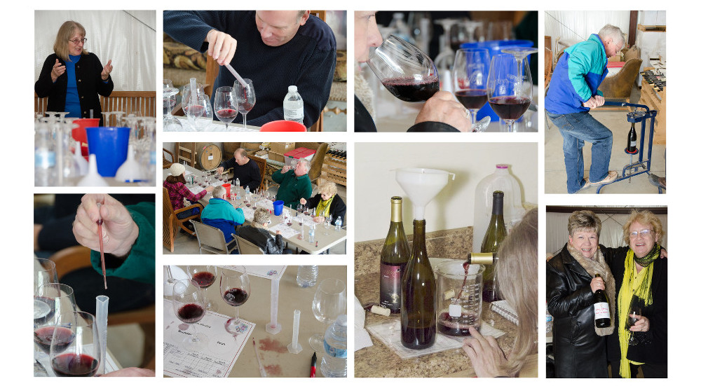 Wine Tree Farm & Corinne Wines in Amador City, CA (4)