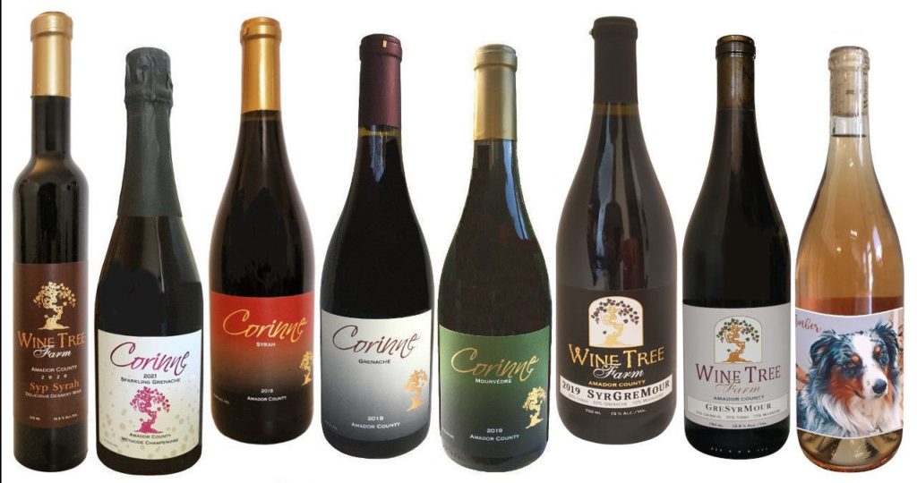 Wine Tree Farm & Corinne Wines in Amador City, CA (6)