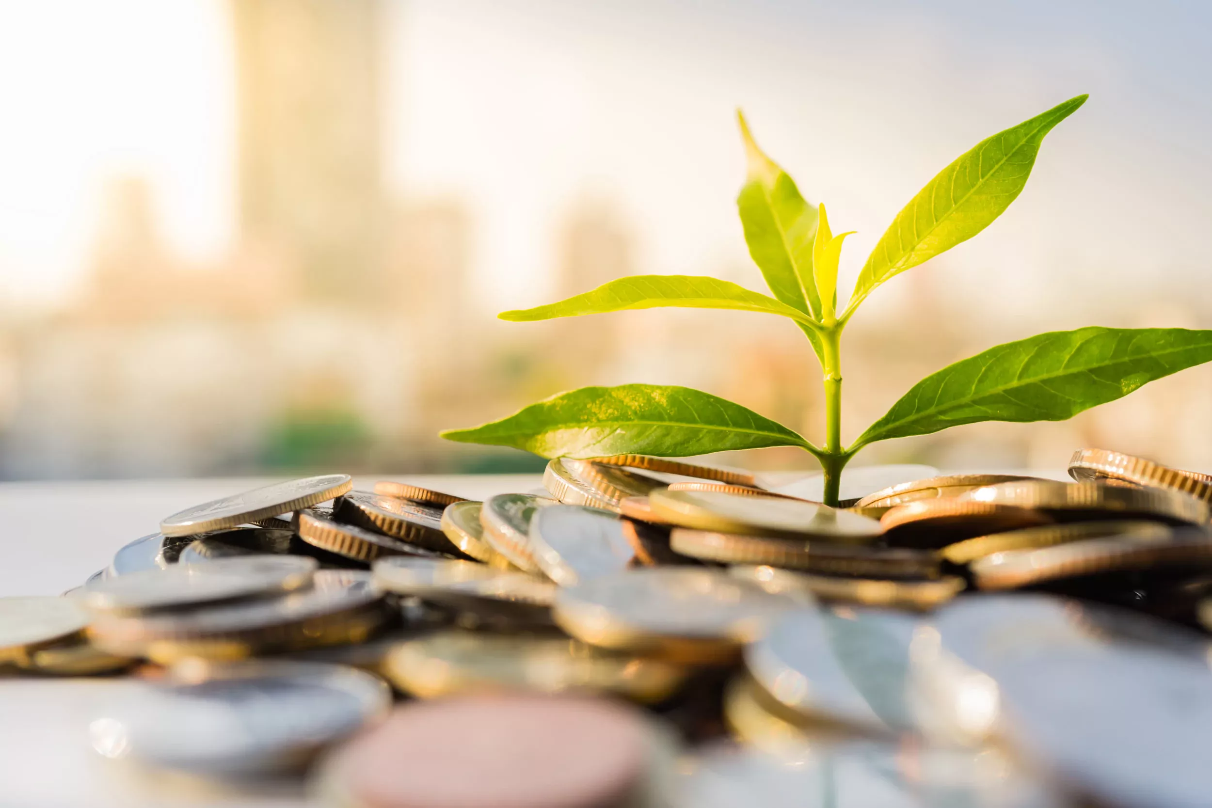 Tangible Accounting, PLLC in West Palm Beach, FL (6)