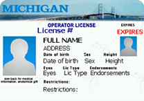 Canu Torrice Law, PLLC in Fraser, MI (5)