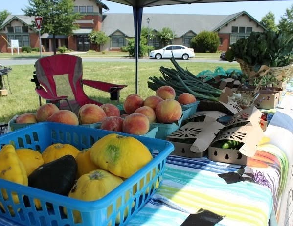 Gabor Farms in Rockingham, NC (3)