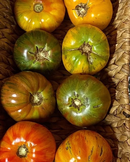 Gabor Farms in Rockingham, NC (4)