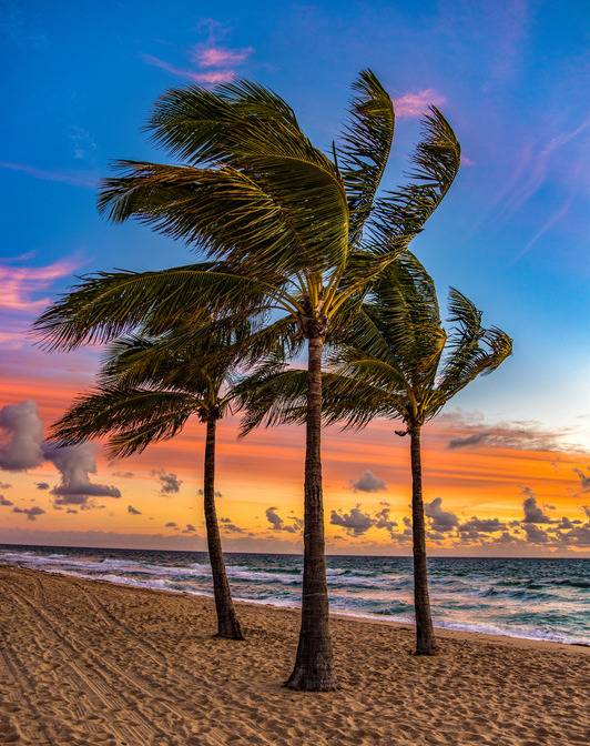 Bayside Lakes Realty Inc. in Palm Bay, FL (5)