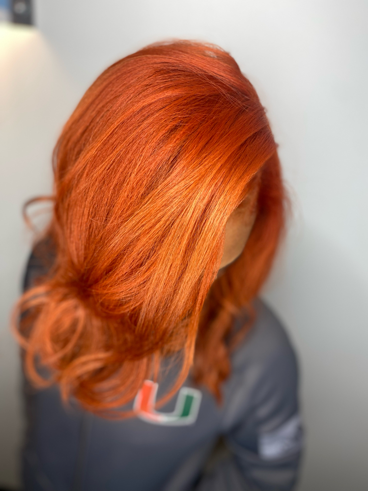Salon One By Paris in Westerville, OH (2)