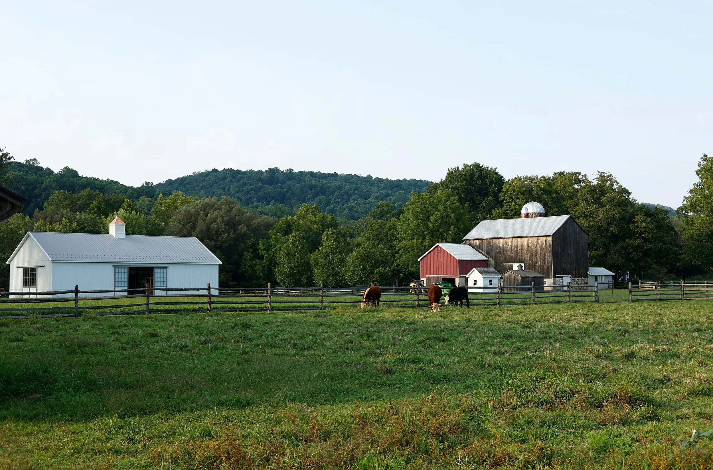 Lohr & Company in Madison, VA (3)