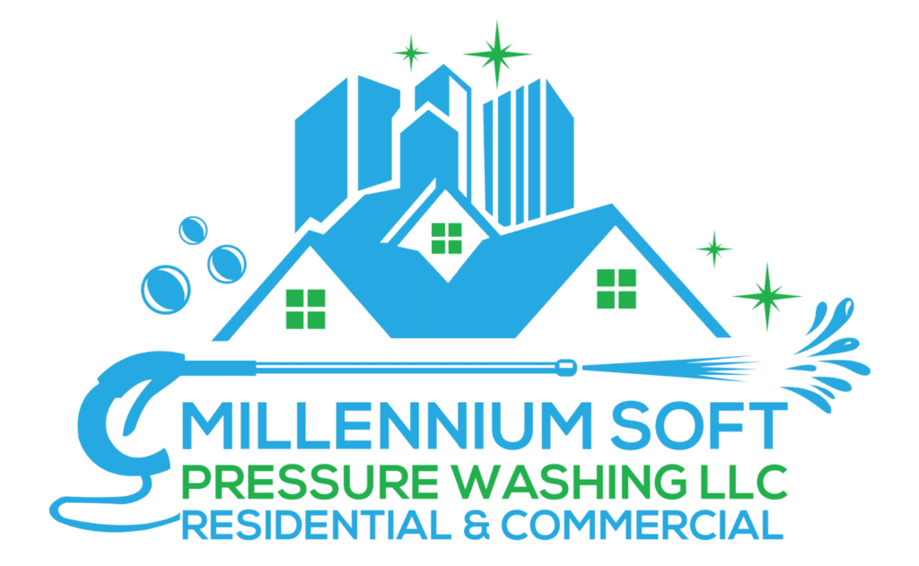 Millennium Mobile Auto Detailing in New Port Richey, FL (3)