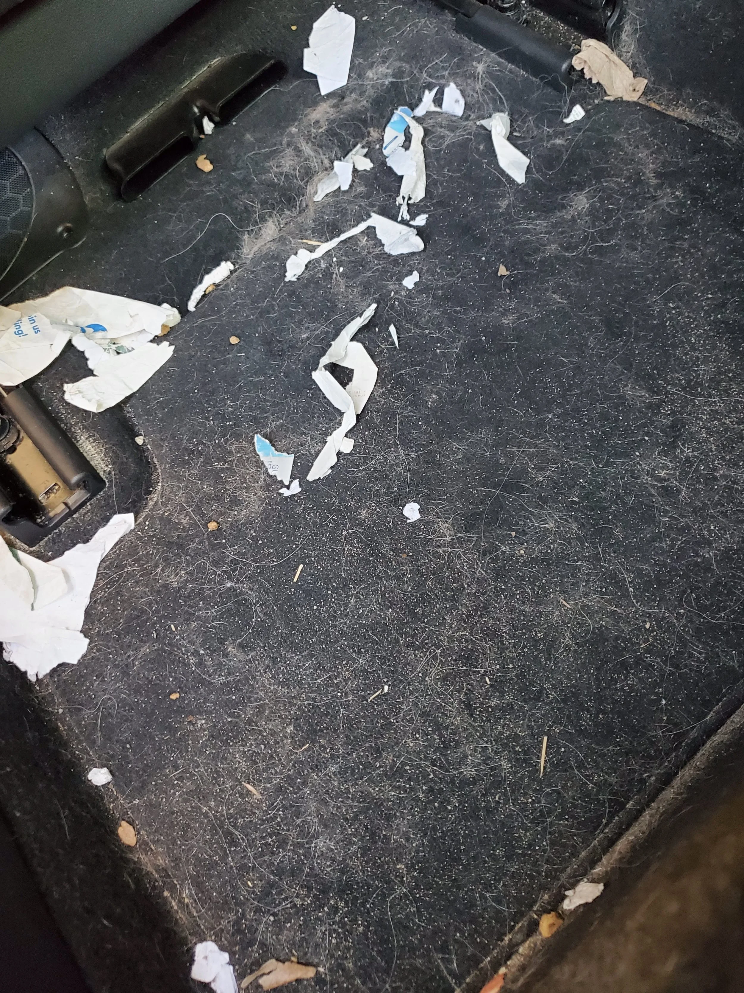Lg Mobile Detailing in El Cajon, CA