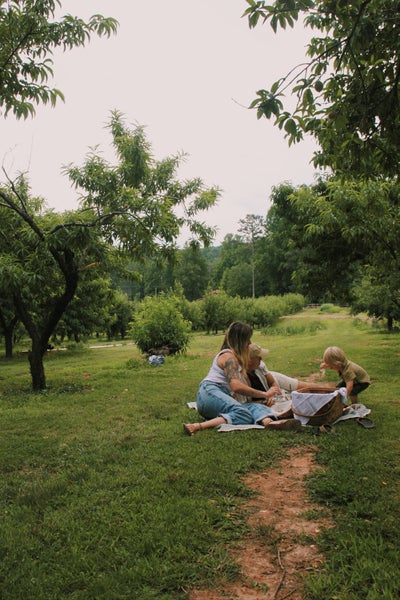 The Folk Collaborative in McCaysville, GA (4)