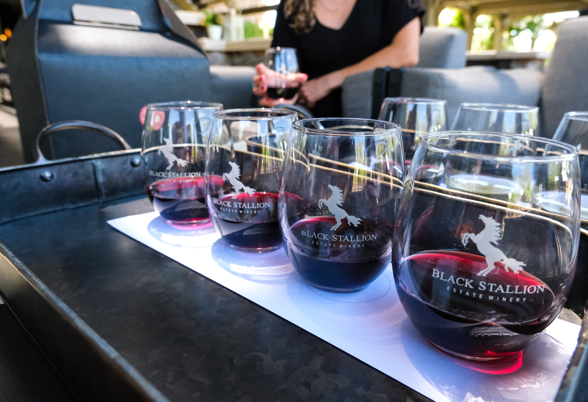 Black Stallion Estate Winery in Napa, CA (4)