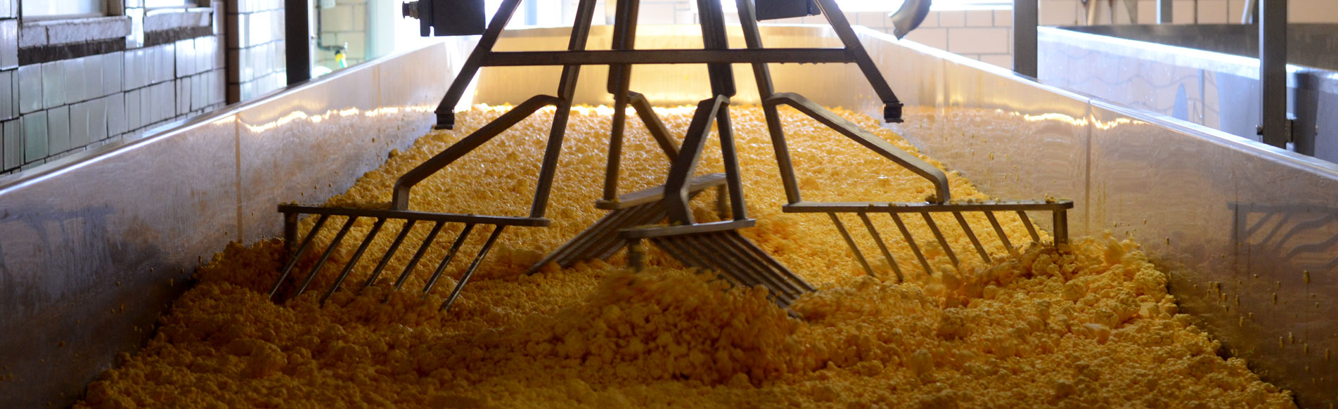 Pearl Valley Cheese Inc in Fresno, OH (2)