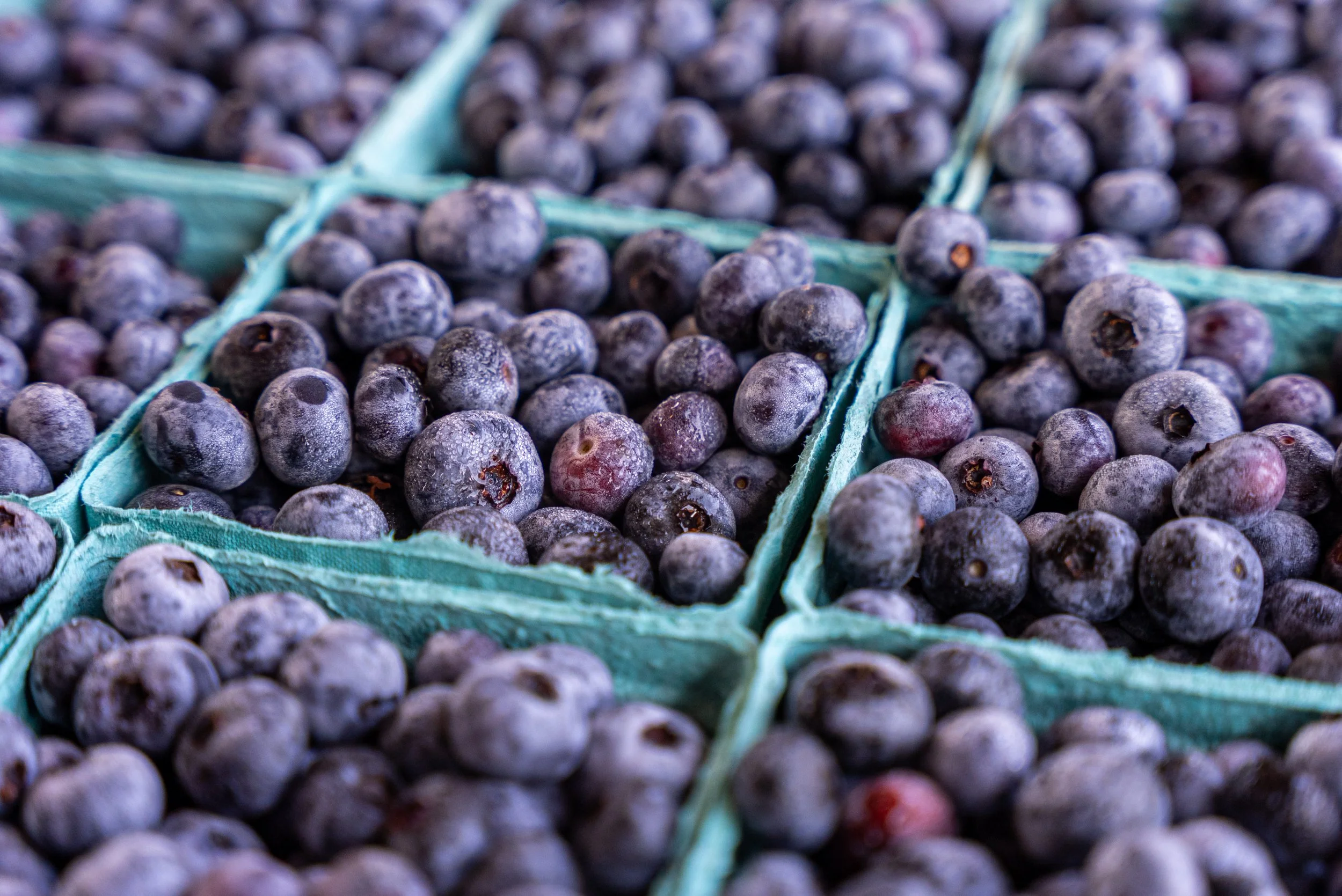 Harrisonburg Farmers Market in Harrisonburg, VA (2)