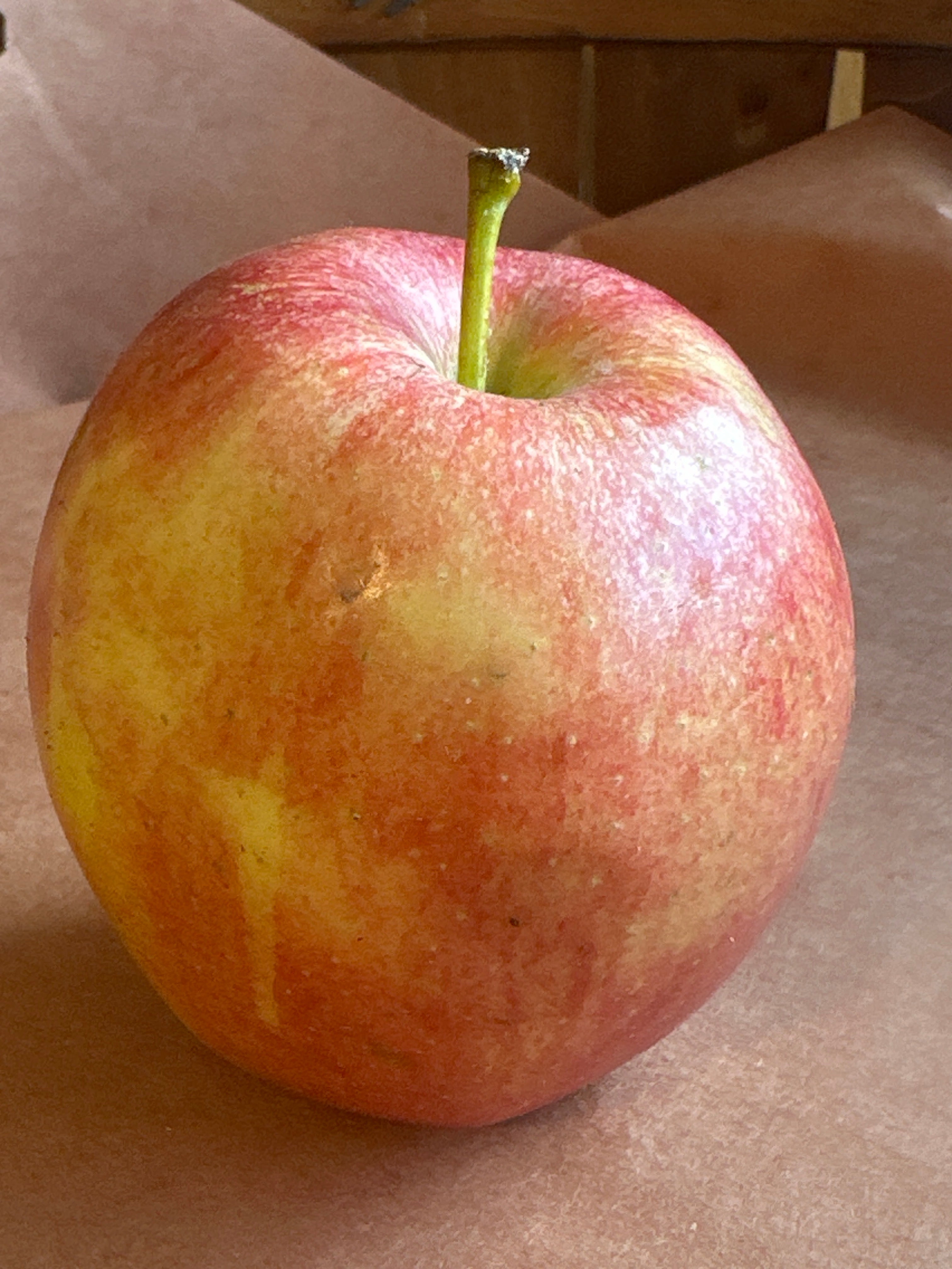 Montvale Farmstand in Montvale, NJ (5)