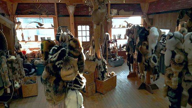Wild Things Fur in La Farge, WI (4)