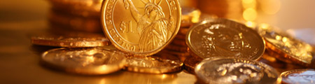 Alex Gountanis Tax Accounting in Rolling Meadows, IL