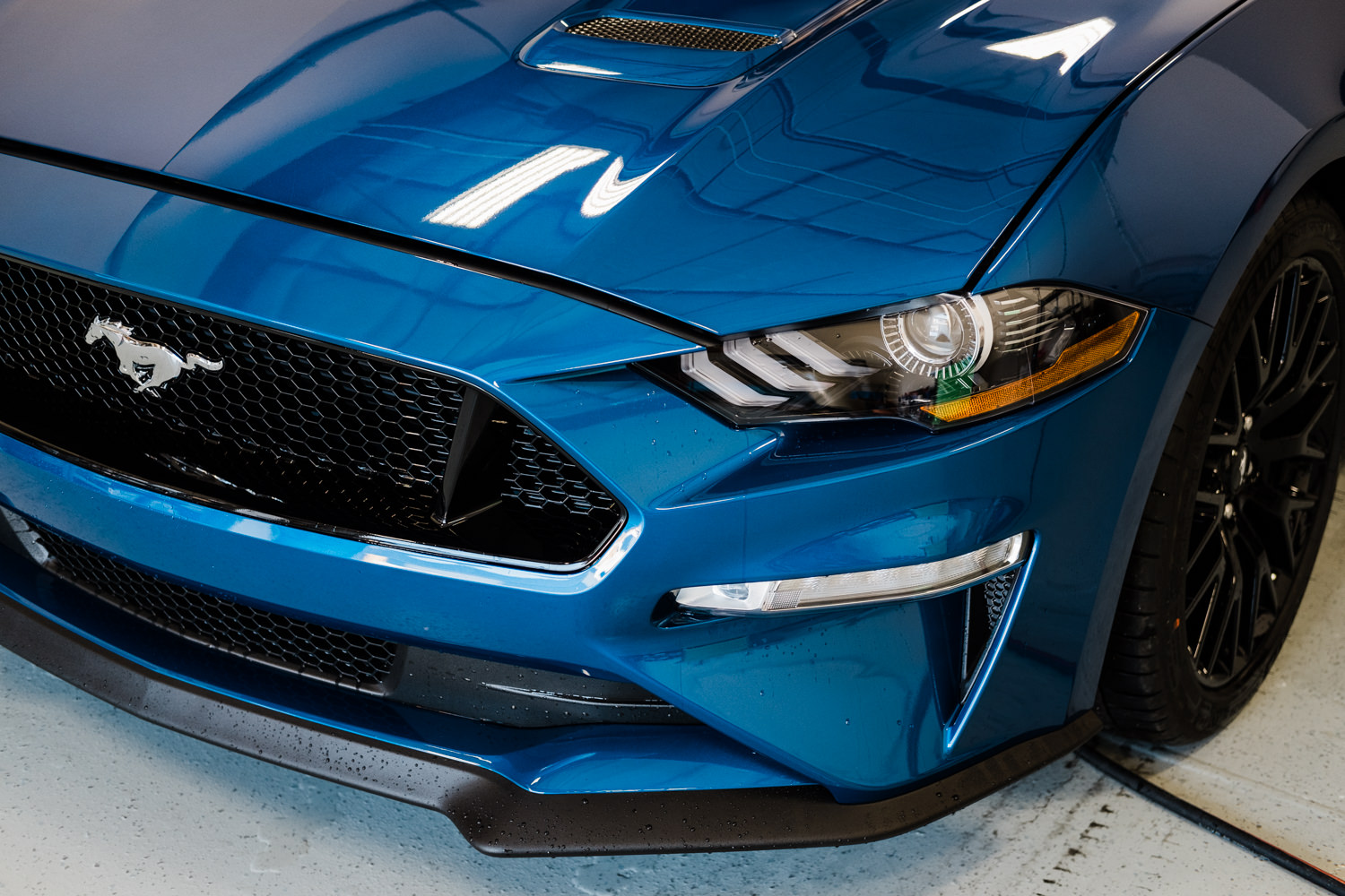 Capital Auto Protection in Madison, WI (5)