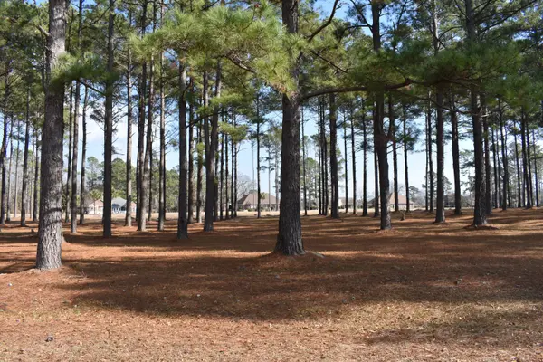 Agent Owned Realty Co in Manning, SC (2)