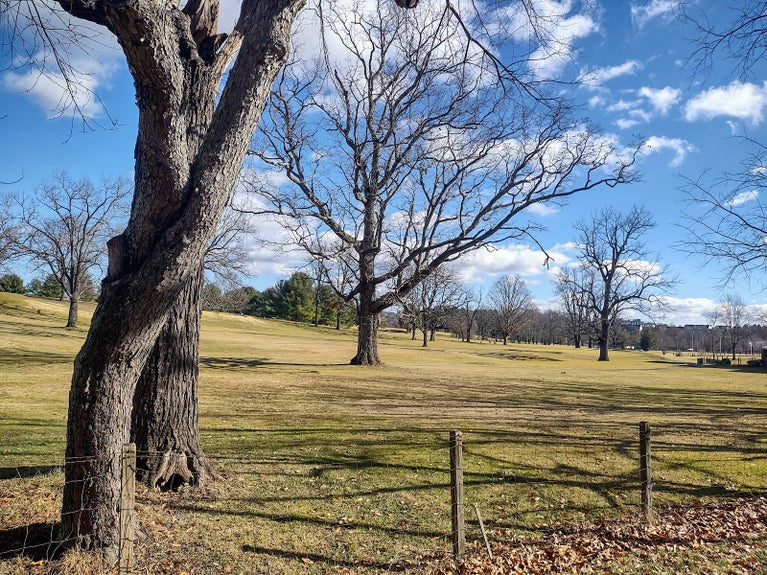 TRINITY Real Estate in Blacksburg, VA