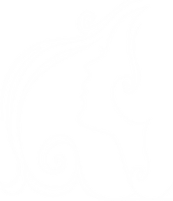 YOUR IMAGE BEAUTY PALACE LLC in Bronx, NY