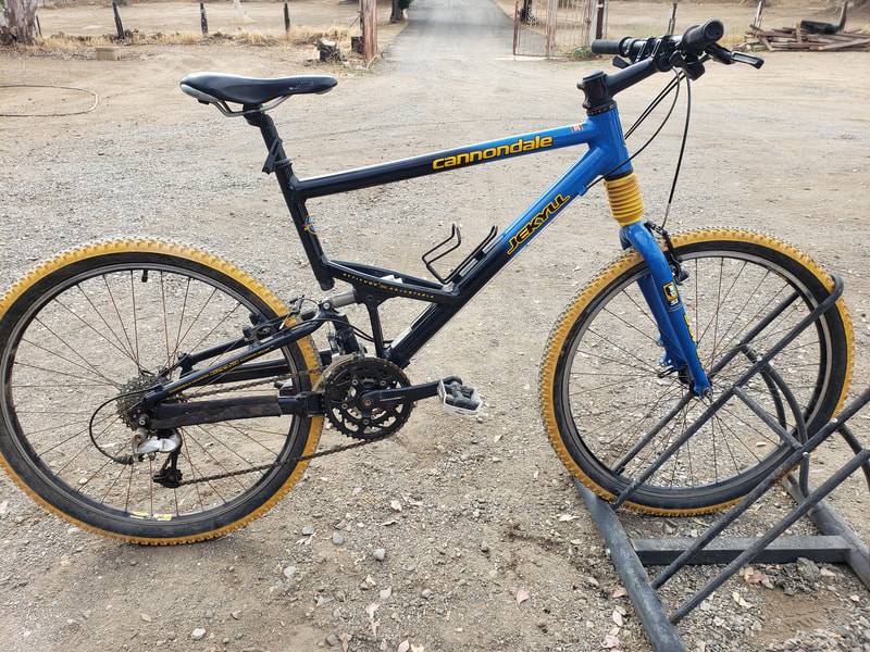 Vincent's Bicycle Shop in Lake Elsinore, CA (3)