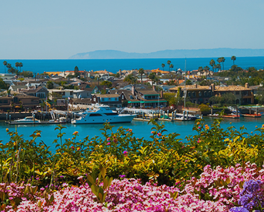 Scott J. Miller, Real Estate Agent in Huntington Beach, CA (3)
