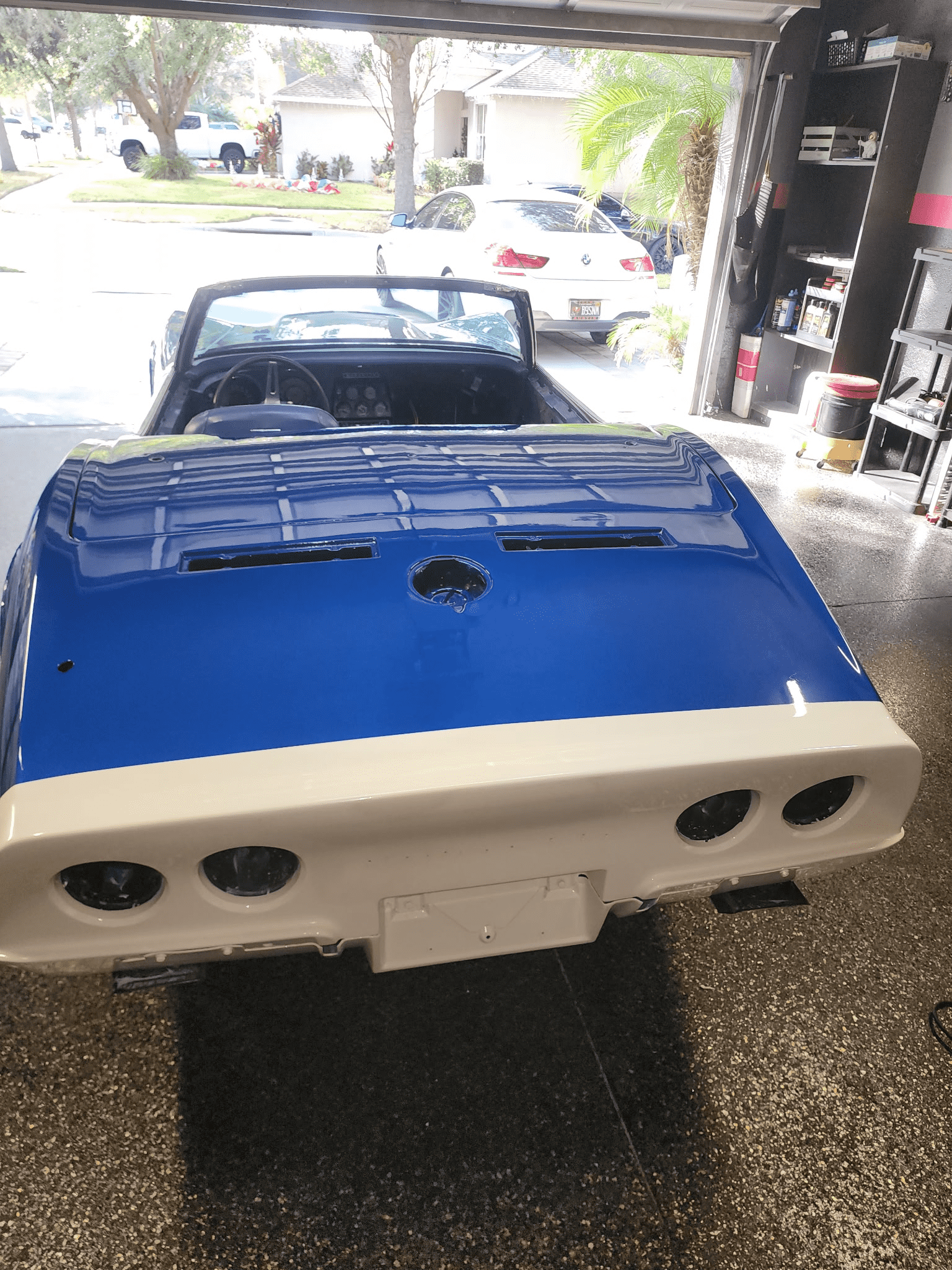 Premier Paint Protection & Paint Restoration & Ceramic Coating in Riverview, FL (3)