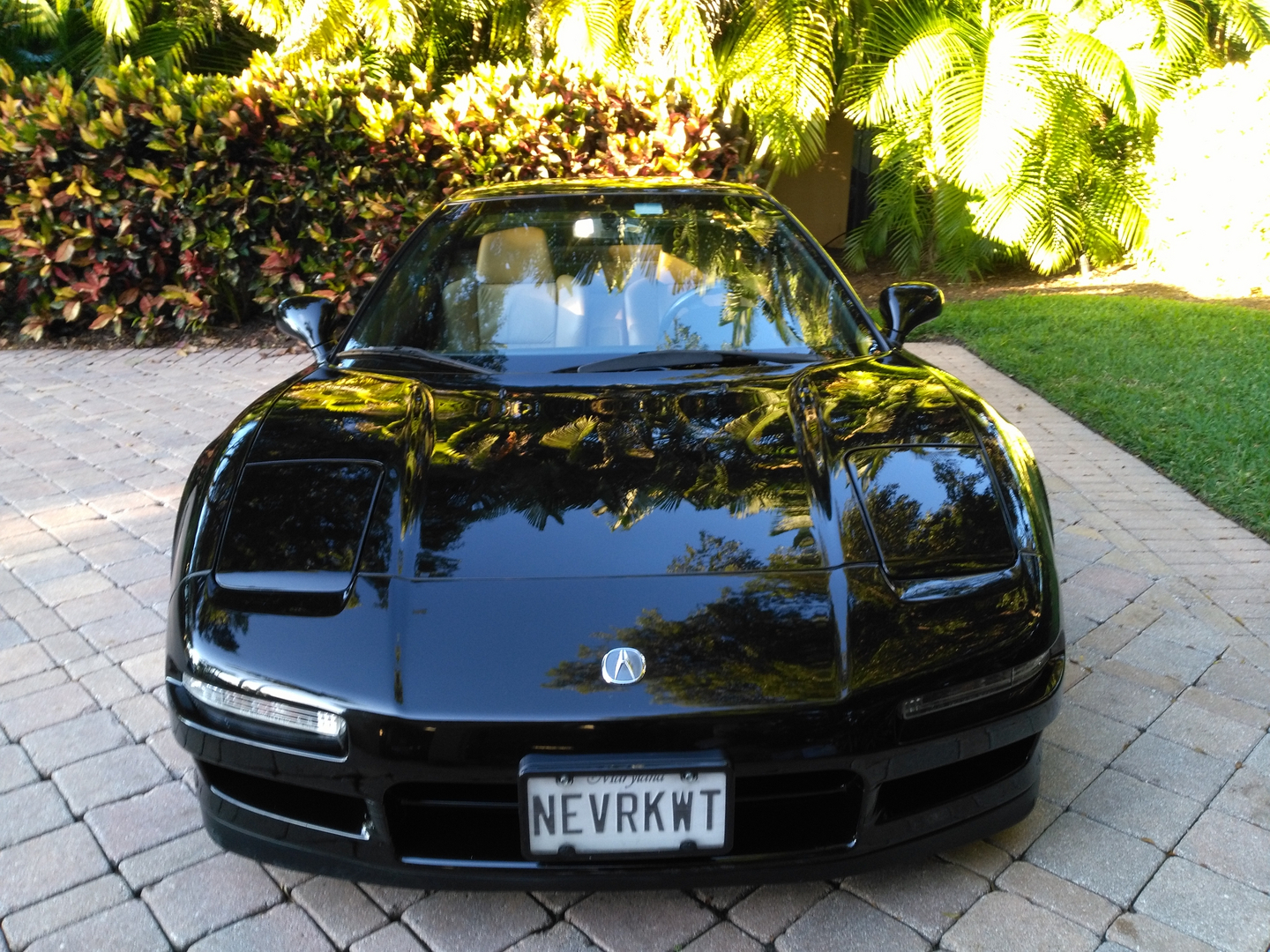 Type "A" Auto Detailing & Hand Car Wash in Palm Beach Gardens, FL (3)