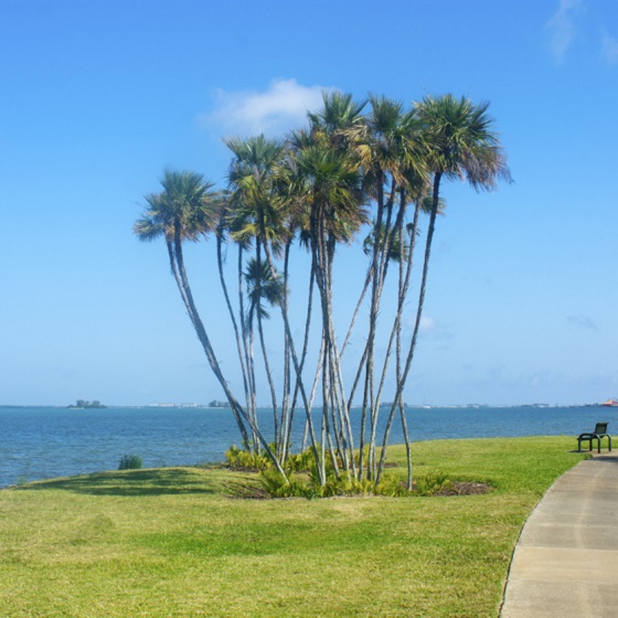 Buyers Broker of Florida in St. Petersburg, FL (3)