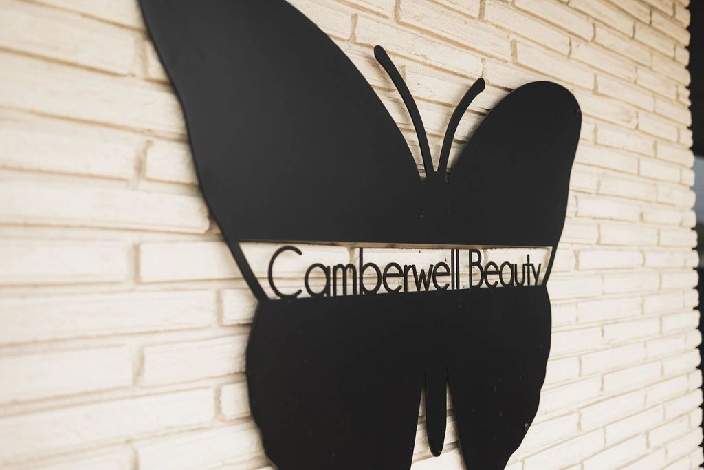 Camberwell Beauty in Wichita Falls, TX